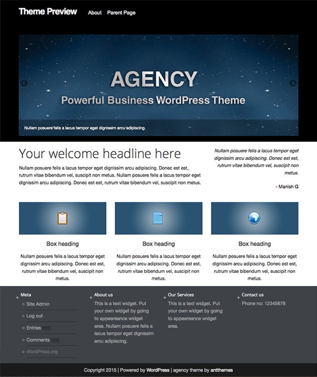 WordPress theme customization