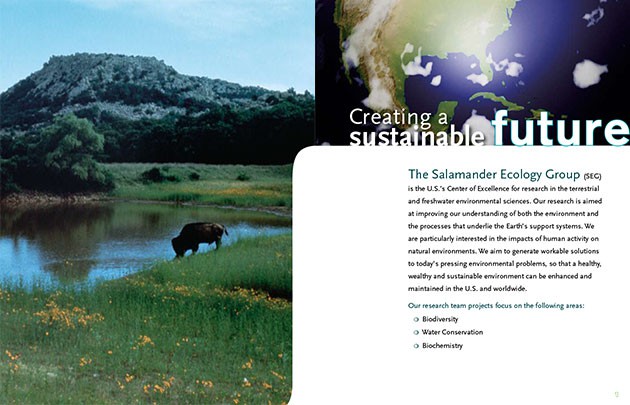 salamander-ecology-group-2