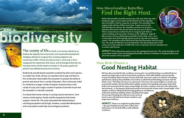 salamander-ecology-group-3