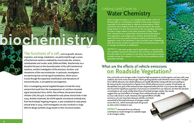 salamander-ecology-group-5