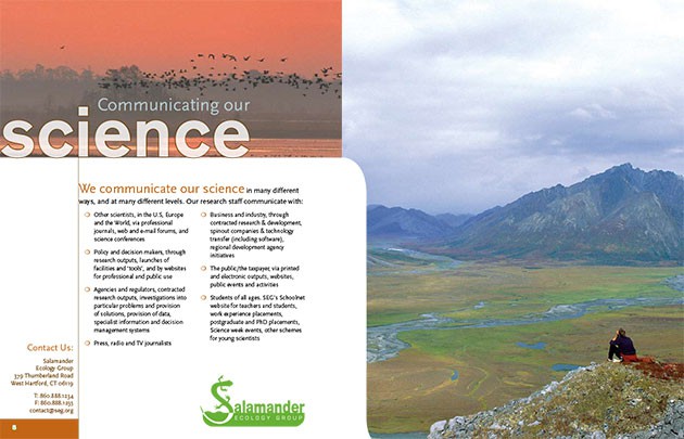 salamander-ecology-group-6