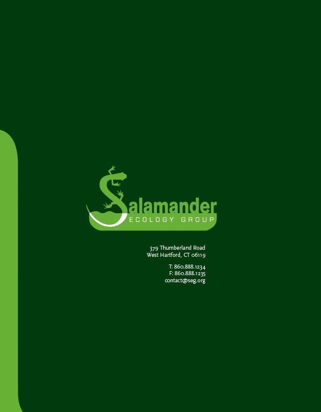 salamander-ecology-group-7