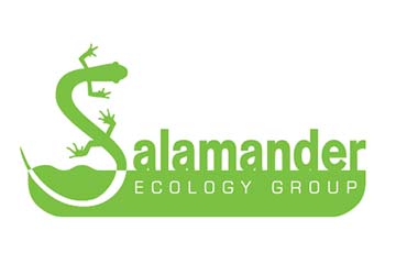 Salamander Ecology Group Logo